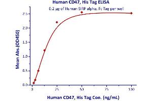 Immobilized Human SIRP alpha, Fc Tag  with a linear range of 1. (SIRPA Protein (AA 31-370) (Fc Tag))