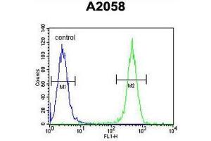 Flow Cytometry (FACS) image for anti-Collagen, Type XVII, alpha 1 (COL17A1) (Chain alpha 1), (Middle Region) antibody (ABIN951629)