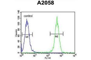COL17A1 Antibody (Center) flow cytometric analysis of A2058 cells (right histogram) compared to a negative control cell (left histogram). (COL17A1 抗体  (Chain alpha 1, Middle Region))