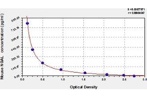 Lipocalin 2 ELISA 试剂盒