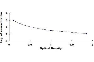 Typical standard curve (CCK18 ELISA 试剂盒)