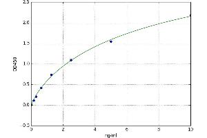 Lactoperoxidase (LPO) ELISA Kit