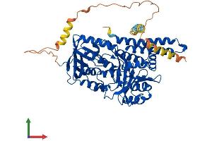 AlphaFold protein structure predicition of Human Recombinant SQLE Protein, UniprotID Q14534