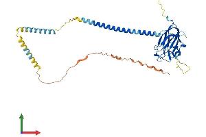 Protein Structure (PS) image for Sad1 and UNC84 Domain Containing 5 (SUN5) (AA 1-373) protein (His tag) (ABIN7561202)