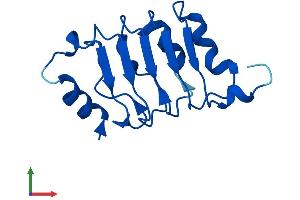 Protein Structure (PS) image for Acidic (Leucine-Rich) Nuclear Phosphoprotein 32 Family, Member D (ANP32D) (AA 1-131) protein (His tag) (ABIN7552214)