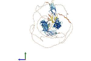 AlphaFold protein structure predicition of Mouse Recombinant Fndc3c1 Protein, UniprotID Q6DFV6