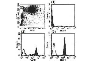 Flow Cytometry (FACS) image for anti-Bone Marrow Stromal Cell Antigen 1 (BST1) antibody (PE) (ABIN1105913) (BST1 抗体  (PE))