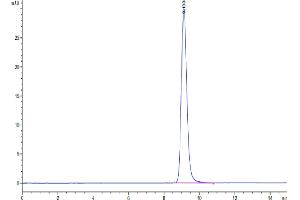 The purity of Cynomolgus LAMP5 is greater than 95 % as determined by SEC-HPLC.