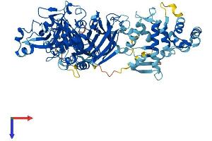 CAPN12 Protein (AA 1-719) (His tag)