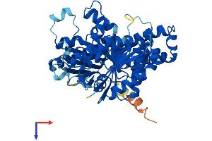 TUBB3 Protein (AA 1-450) (His tag)