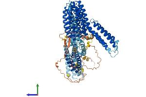 Protein Structure (PS) image for Catenin (Cadherin-Associated Protein), alpha 2 (CTNNA2) (AA 1-953) protein (His tag) (ABIN7563912)