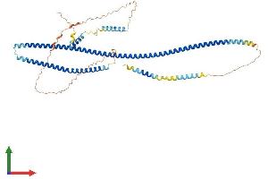 AlphaFold protein structure predicition of Mouse Recombinant Traf3ip3 Protein, UniprotID Q8C0G2