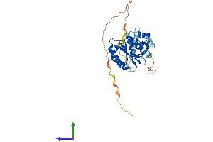 AlphaFold protein structure predicition of Mouse Recombinant Ercc1 Protein, UniprotID P07903 (ERCC1 Protein (AA 1-298) (His tag))