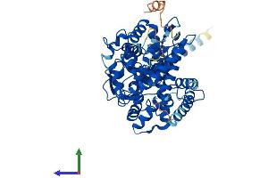 AlphaFold protein structure predicition of Mouse Recombinant Cyp26b1 Protein, UniprotID Q811W2