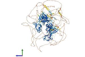 Protein Structure (PS) image for Membrane Associated Guanylate Kinase, WW and PDZ Domain Containing 1 (MAGI1) (AA 1-1491) protein (His tag) (ABIN7554460)