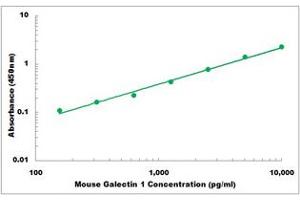 Representative Standard Curve (LGALS1/Galectin 1 ELISA 试剂盒)