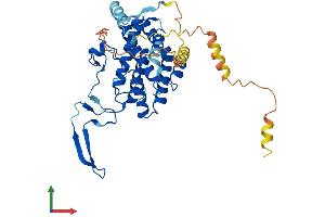 Protein Structure (PS) image for Organic Solute Carrier Partner 1 (OSCP1) (AA 1-379) protein (His tag) (ABIN7558659)