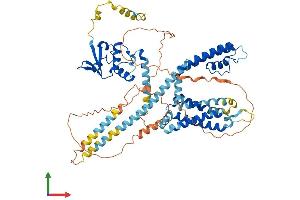 Protein Structure (PS) image for Potassium Voltage-Gated Channel, Shal-Related Subfamily, Member 3 (KCND3) (AA 1-655) protein (His tag) (ABIN7556359)