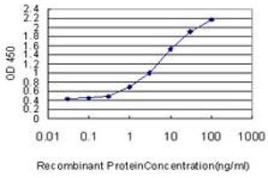 Detection limit for recombinant GST tagged MUC7 is approximately 0. (MUC7 抗体  (AA 36-135))