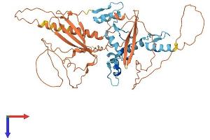 ZNF410 Protein (AA 1-478) (His tag)