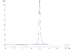 Size-exclusion chromatography-High Pressure Liquid Chromatography (SEC-HPLC) image for CD8a Molecule (CD8A) (AA 28-196) protein (His tag) (ABIN7274260)