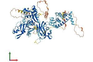 Protein Structure (PS) image for Calpain 3 (CAPN3) (AA 1-821) protein (His tag) (ABIN7557851)