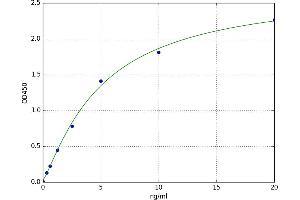 A typical standard curve (ALOXE3 ELISA 试剂盒)
