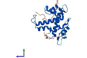Protein Structure (PS) image for Grancalcin, EF-Hand Calcium Binding Protein (GCA) (AA 1-217) protein (His tag) (ABIN7548068)