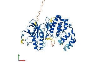 AlphaFold protein structure predicition of Human Recombinant MAPK12 Protein, UniprotID P53778