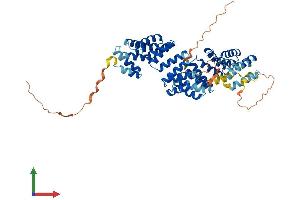 Protein Structure (PS) image for Bardet-Biedl Syndrome 4 (BBS4) (AA 1-519) protein (His tag) (ABIN7552728)