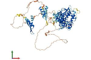 AlphaFold protein structure predicition of Mouse Recombinant Adarb2 Protein, UniprotID Q9JI20