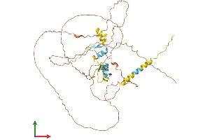 Protein Structure (PS) image for Sp9 Transcription Factor (SP9) (AA 1-484) protein (His tag) (ABIN7546223)