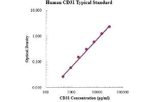 ELISA image for Platelet/endothelial Cell Adhesion Molecule (PECAM1) ELISA Kit (ABIN4993793)