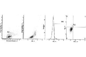 Image no. 1 for anti-Interleukin 4 (IL4) antibody (PE) (ABIN1107850) (IL-4 抗体  (PE))