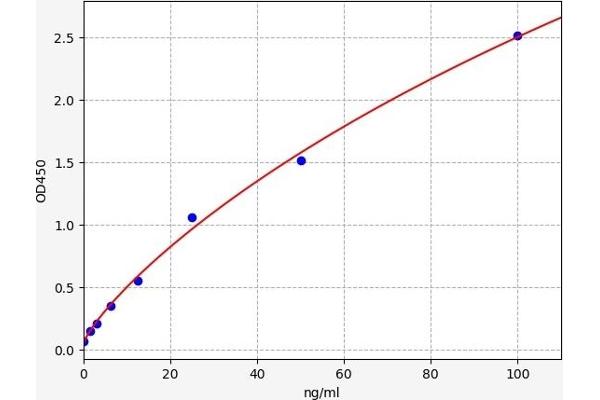 CYP2A6 ELISA 试剂盒