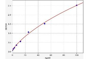 Typical standard curve (CYP2A6 ELISA 试剂盒)