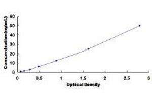 Myosin Heavy Chain 11, Smooth Muscle (MYH11) ELISA Kit