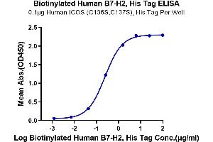 ELISA image for Inducible T-Cell Co-Stimulator Ligand (ICOSLG) (AA 19-258) protein (His-Avi Tag,Biotin) (ABIN7273968)