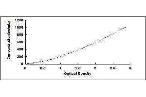 Chemokine (C-C Motif) Ligand 15 (CCL15) ELISA Kit