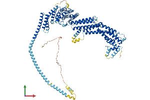 Protein Structure (PS) image for RAD50 Interactor 1 (RINT1) (AA 1-792) protein (His tag) (ABIN7555234)