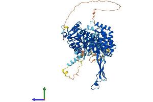 AlphaFold protein structure predicition of Human Recombinant ALDH18A1 Protein, UniprotID P54886