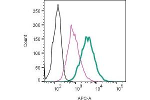 Cell surface detection of P2X4 by direct flow cytometry in live intact mouse  microglia cells: + Rabbit IgG isotype control-APC.