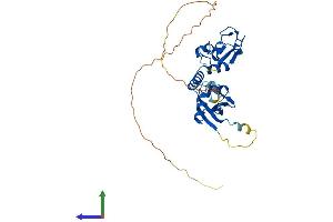 Protein Structure (PS) image for BMI1 Polycomb Ring Finger Oncogene (BMI1) (AA 1-324) protein (His tag) (ABIN7563011)