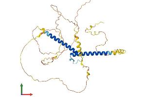 Protein Structure (PS) image for Basic Helix-Loop-Helix Family, Member E22 (BHLHE22) (AA 1-381) protein (His tag) (ABIN7552636)