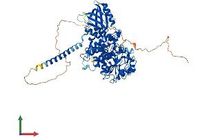 AlphaFold protein structure predicition of Mouse Recombinant Mtmr7 Protein, UniprotID Q9Z2C9