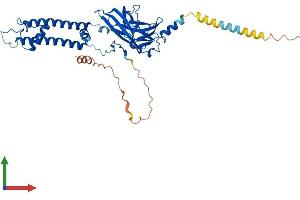 Protein Structure (PS) image for Potassium Inwardly-Rectifying Channel, Subfamily J, Member 6 (KCNJ6) (AA 1-423) protein (His tag) (ABIN7554300)