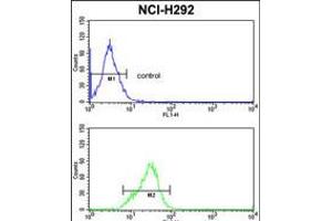Flow cytometric analysis of NCI-H292 cells (bottom histogram) compared to a negative control cell (top histogram). (SRSF5 抗体  (AA 70-97))