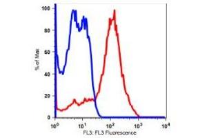 PBMCs lymphocytes stained with PerCP conjugated mouse anti-human clone OKT-1 (CD5, red histogram). (CD5 抗体  (PerCP))