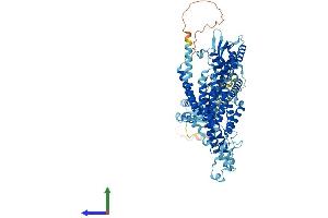 Protein Structure (PS) image for ATPase, H+ Transporting, Lysosomal V0 Subunit A1 (ATP6V0A1) (AA 1-837) protein (His tag) (ABIN7555985)