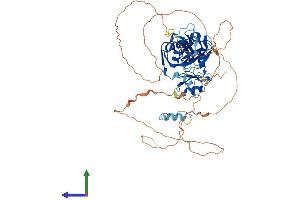 Protein Structure (PS) image for Cytoplasmic Polyadenylation Element Binding Protein 1 (CPEB1) (AA 1-566) protein (His tag) (ABIN7553540)